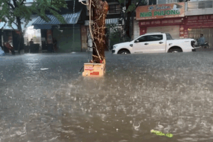 Cẩm Phả chìm trong biển nước, ôtô ngập gần tới nóc - Tạp chí Tri thức