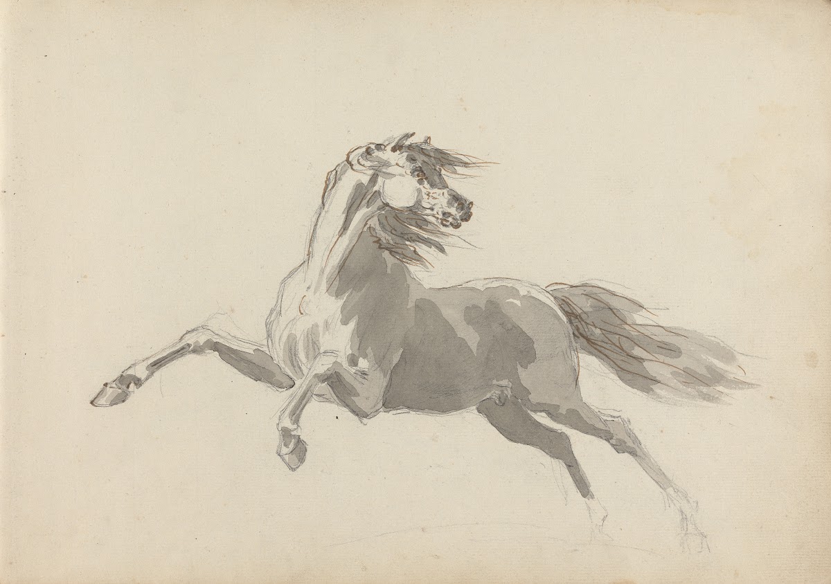 Fourty three Studies of Horses and Riders Pl03 1787