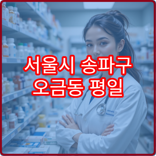 서울시 송파구 오금동 평일 야간 약국 평일 늦은 시간 이용 가이드