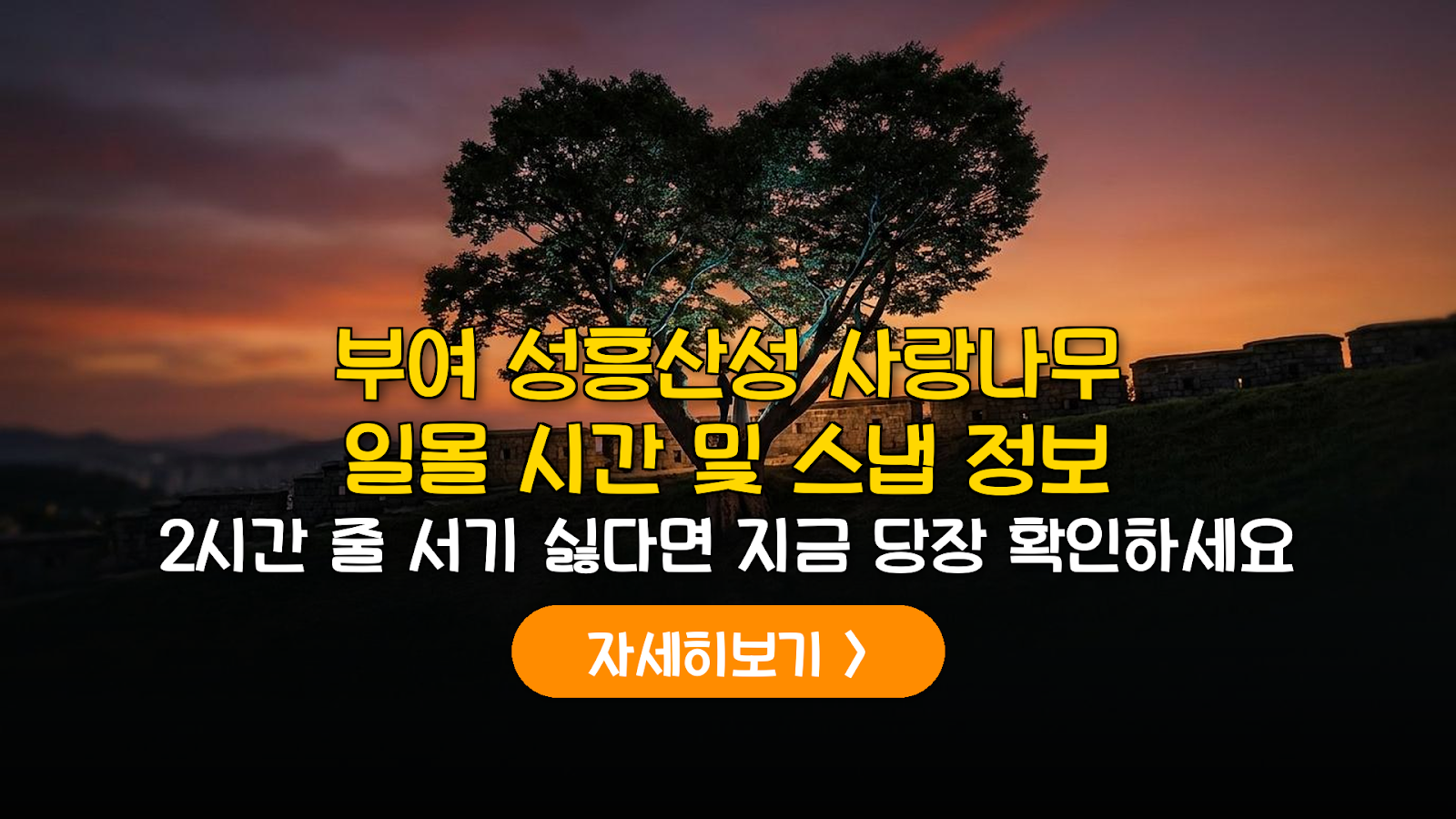 부여 성흥산성 사랑나무 일몰 및 촬영 전략