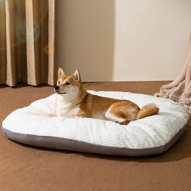 Hundebett, waschbar, S–XL, wärmend