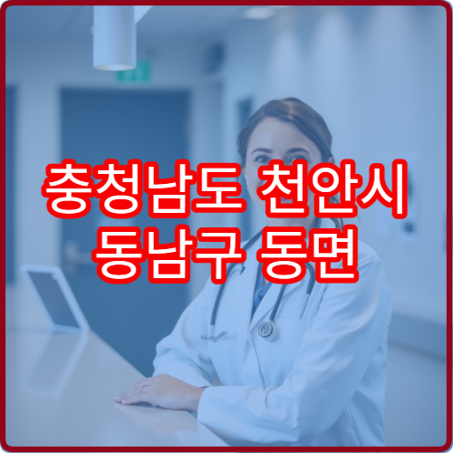 충청남도 천안시 동남구 동면 설날 명절 연휴 문 여는 약국 정보 확인