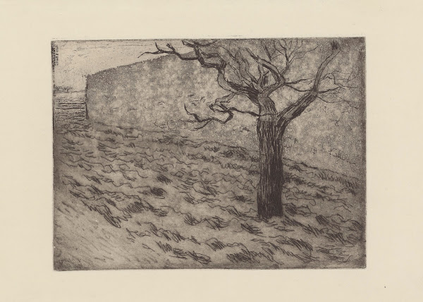 Arbre et terrain labouré 1879