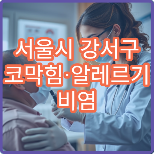 서울시 강서구 코막힘·알레르기 비염 장기 관리 이비인후과 병원