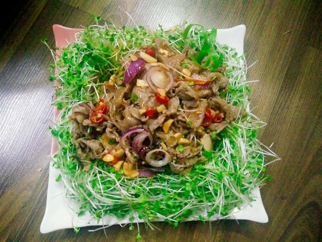 Gỏi Bò Rau Mầm