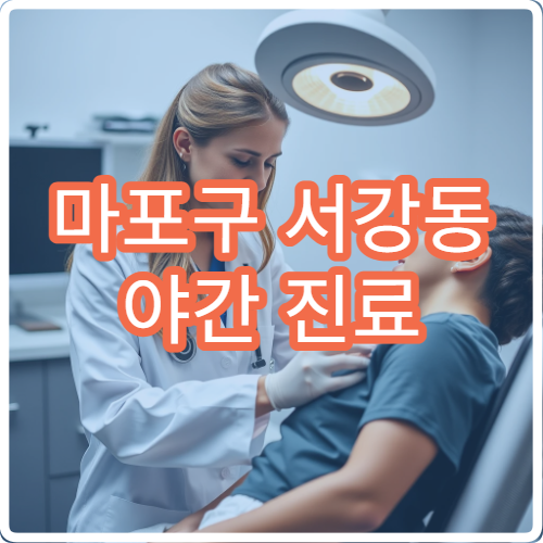 마포구 서강동 야간 진료 산부인과 병원 찾기