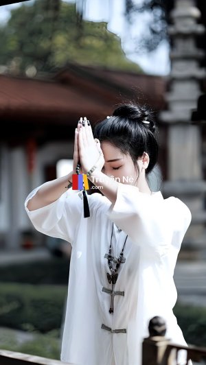 Người Đẩy Ngươi Là Thẩm Chiêu