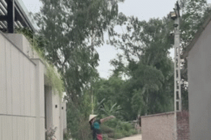 Mẹ đội nón lá, nhảy múa trước biệt thự đón con gái: Mỗi lần về một kiểu chào khác nhau - Báo Văn hóa