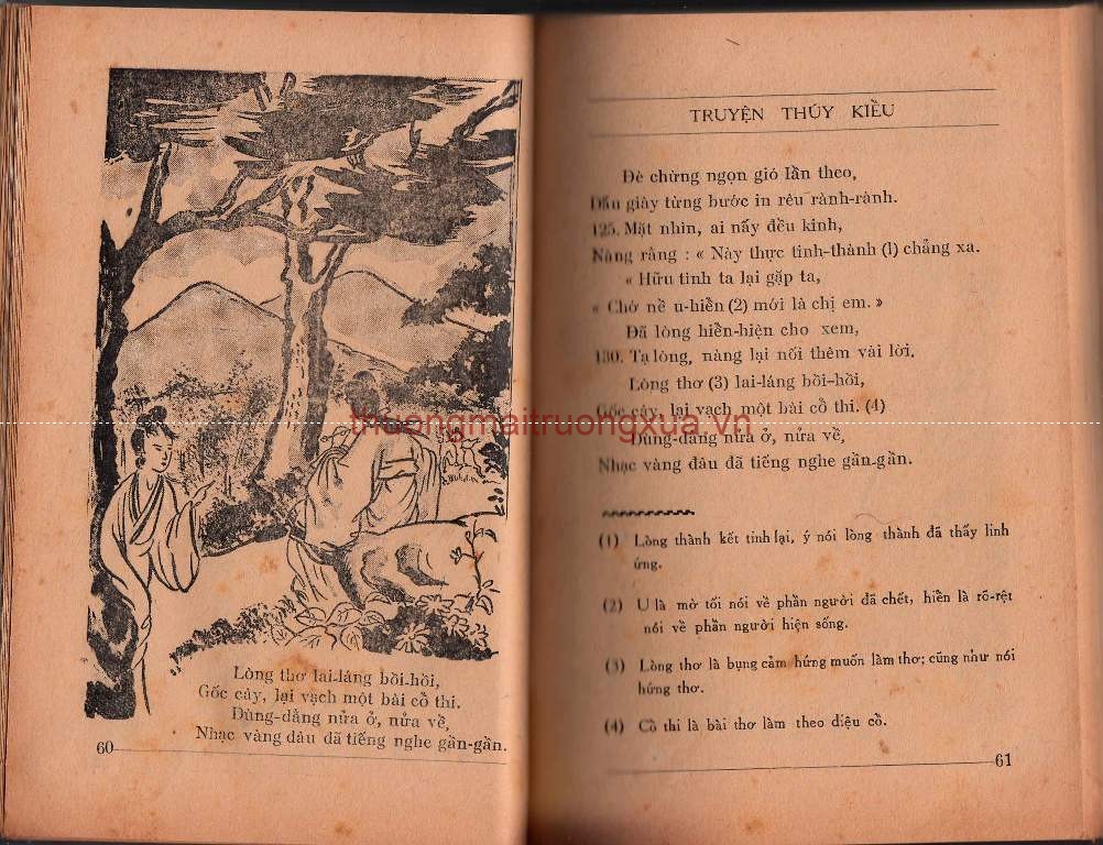 Tập san : Mực tím (số 36 - 1991) - Trang 29