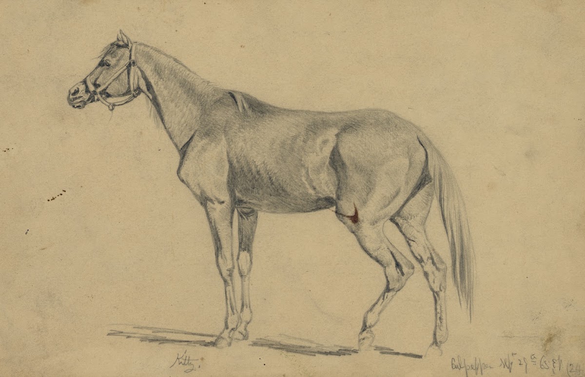Kitty Edwin Forbes mare that he rode from 1862 1865 1865 1876