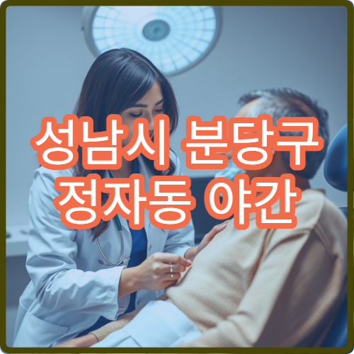 성남시 분당구 정자동 야간 내과 진료 가능한 병원 늦은 시간 진료 안내