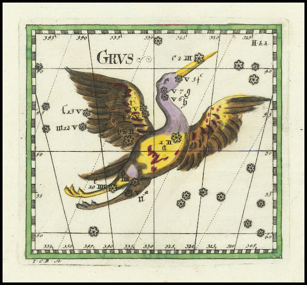 Grus 1730