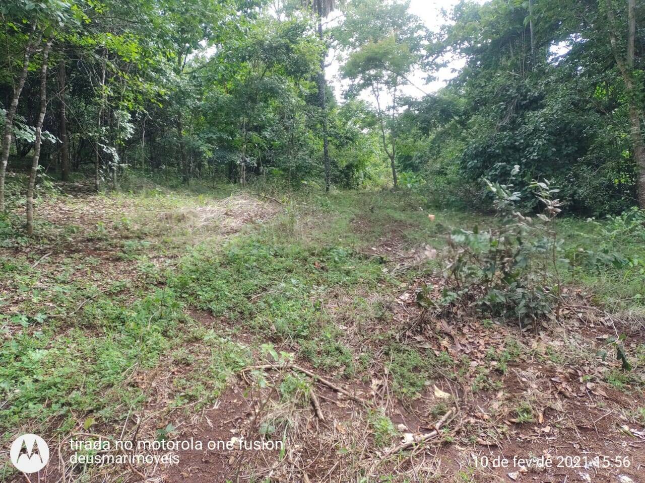 Fazenda em Barro Alto - GO 9