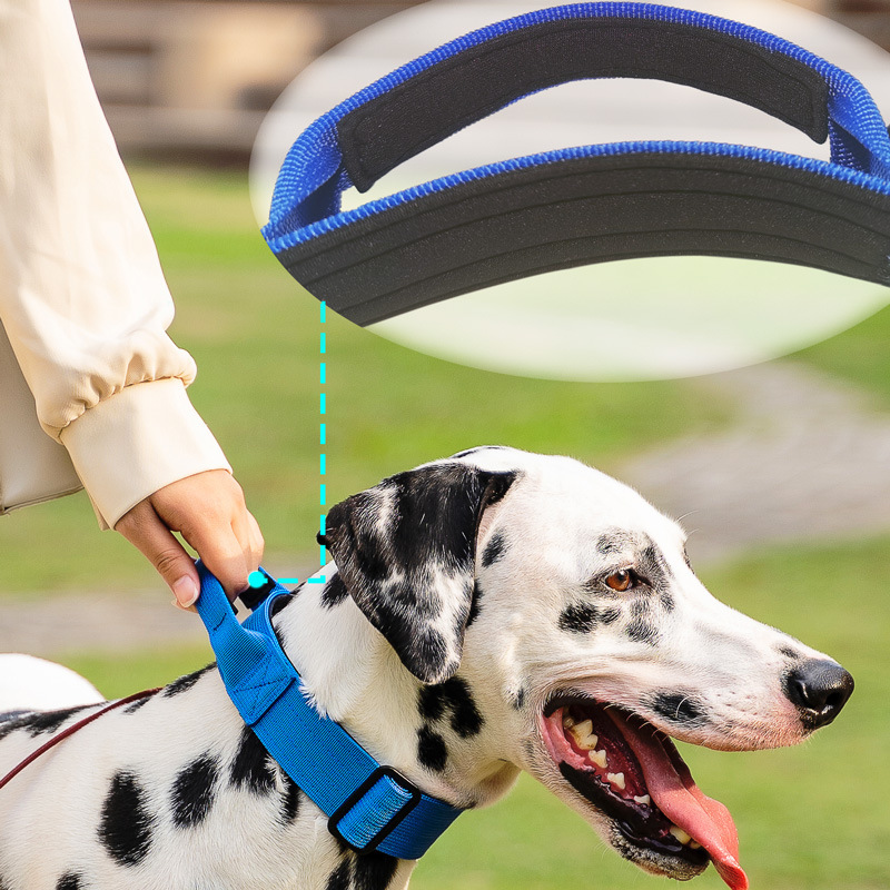 Hundehalsband aus Nylon mit Griff