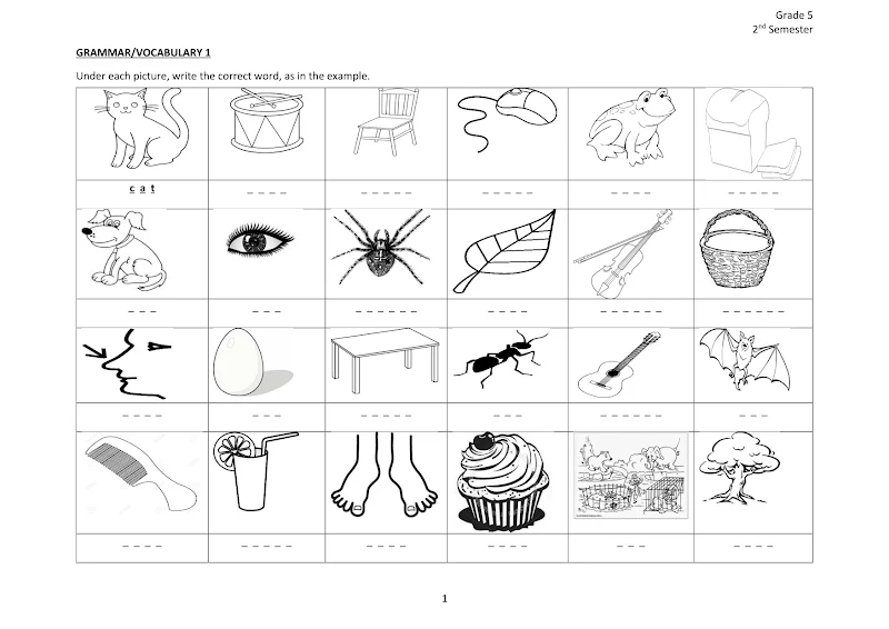 صورة الغلاف