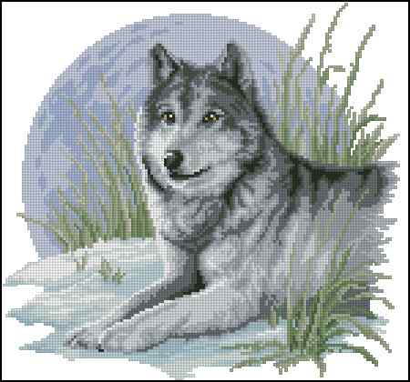 CMP 400085 Wolf And Moon