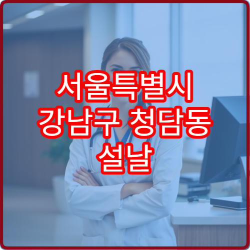 서울특별시 강남구 청담동 설날 명절 연휴 휴일지킴이 약국 청담사거리 명품거리 야간 운영