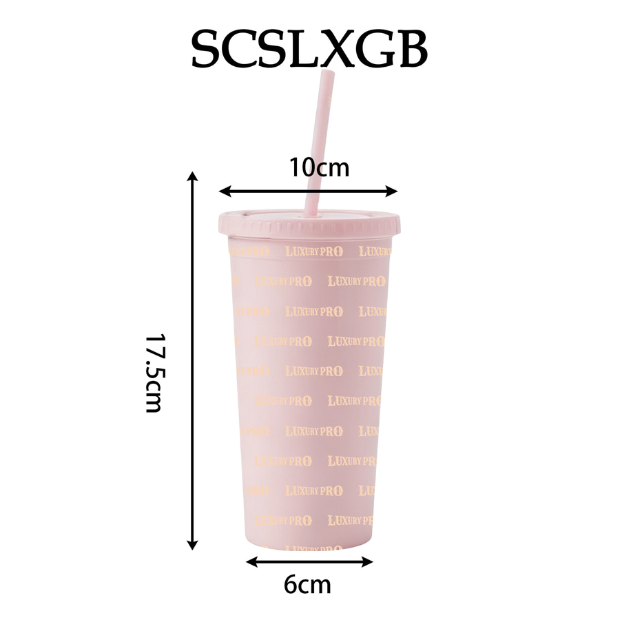 Double Wall Plastic Straw Cup