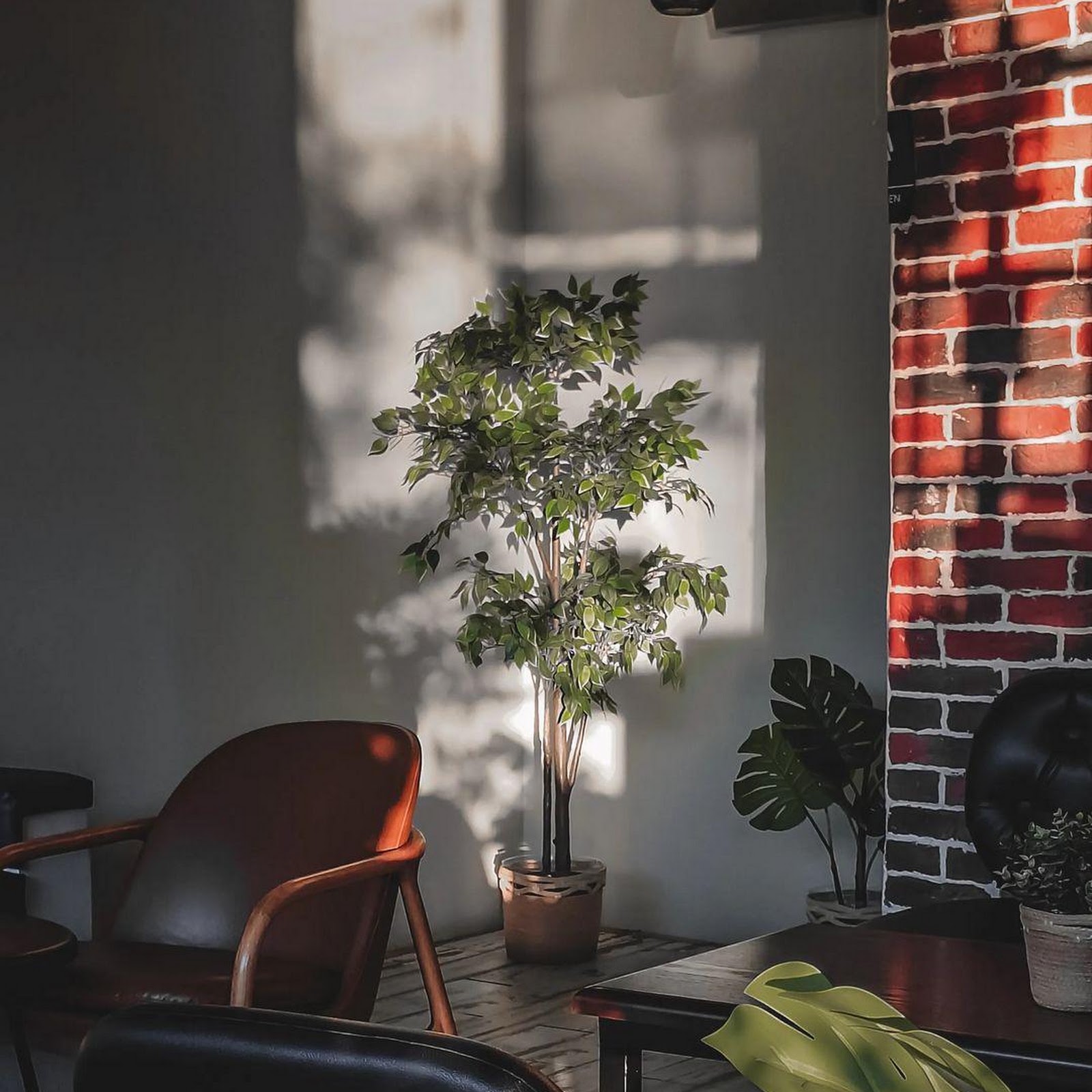 Download Cozy Cafe Corner With Plants iPhone