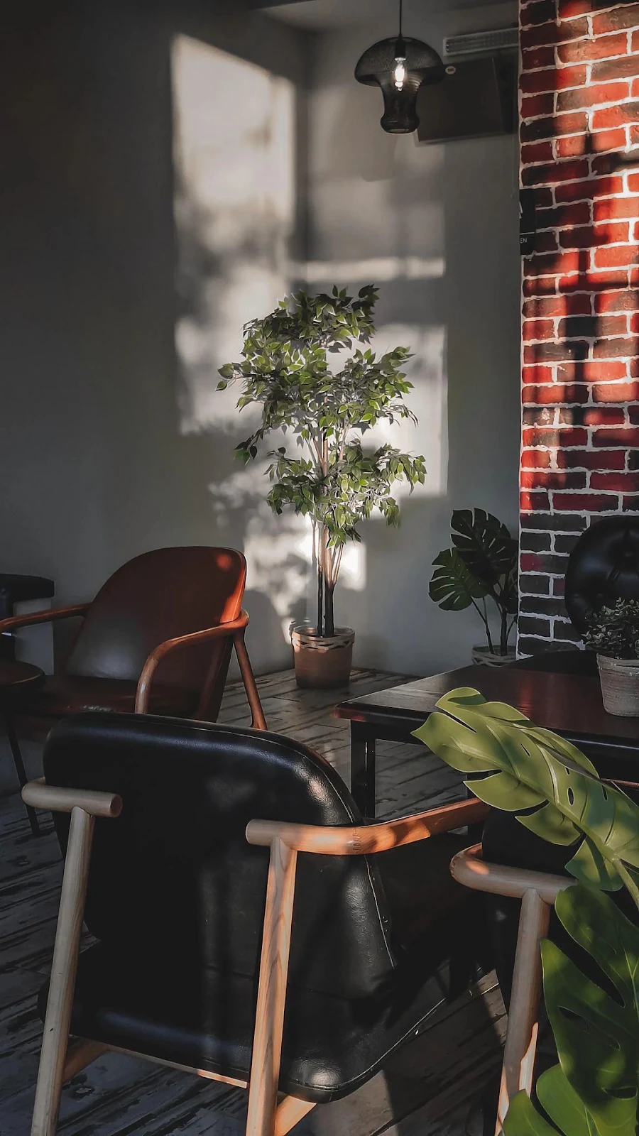 Cozy Cafe Corner With Plants - Interior Photography iPhone Wallpaper (1080x1919)