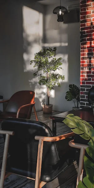 Cozy Cafe Corner With Plants iPhone Wallpaper Background