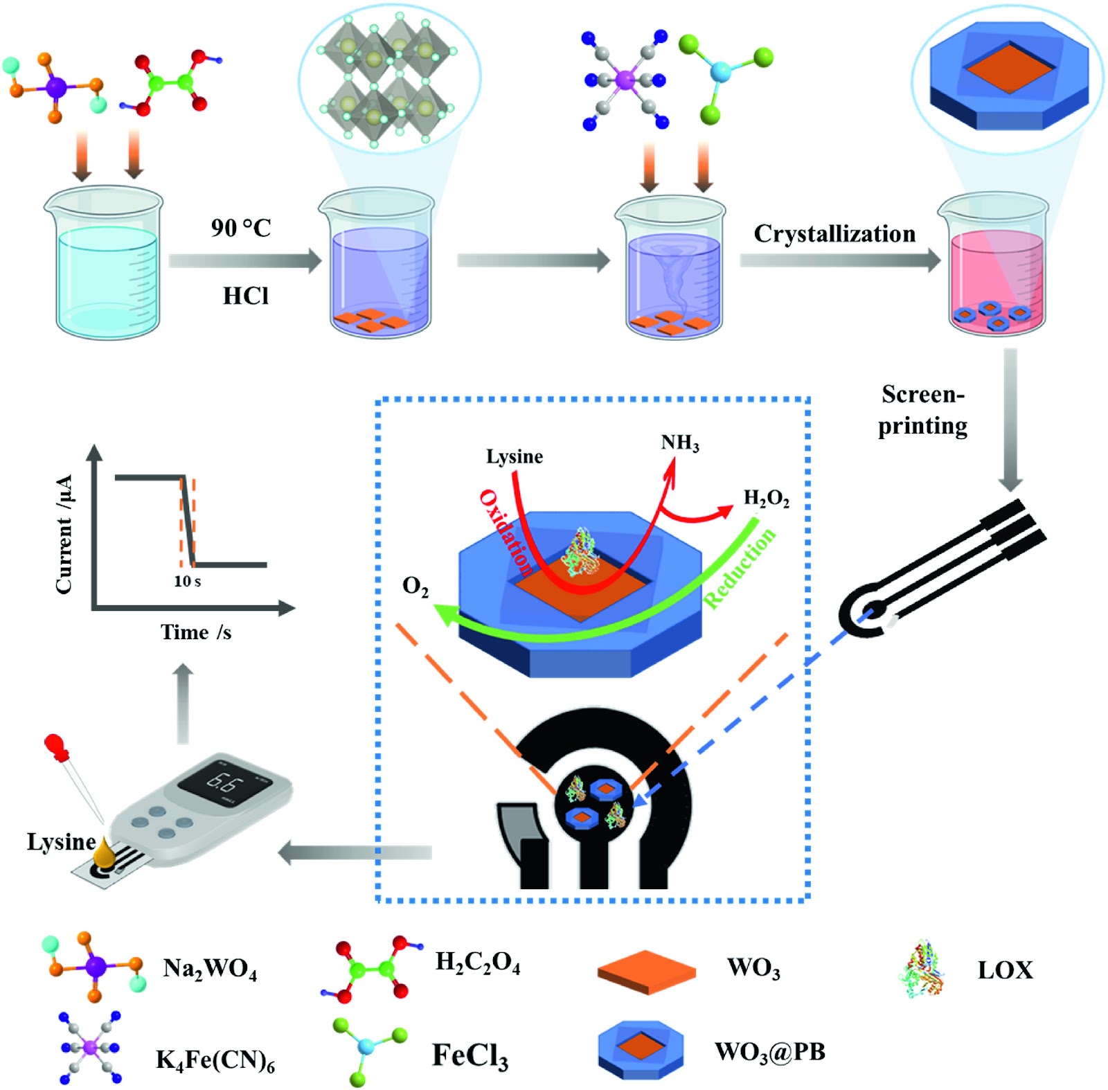 Center-concave nanosheets of core-shell WO3@Prussian blue based handheld microchip-devices for ultrasensitive lysine determination