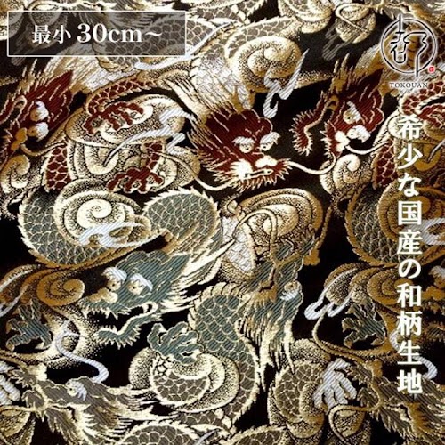 闘龍