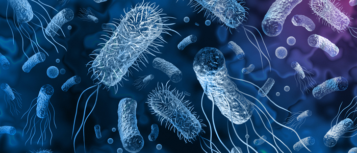 While Defeating Diseases Did We Forget to Protect the Cure?