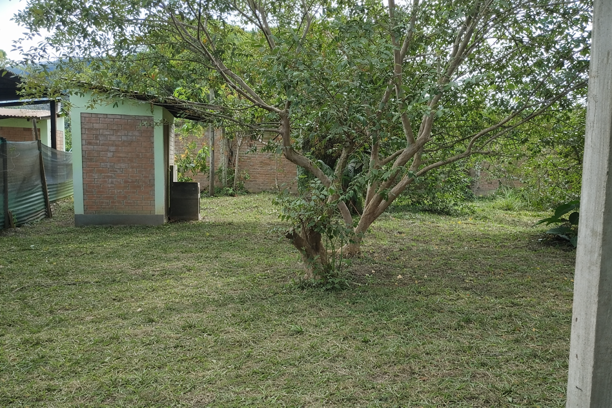 Imagen 3 de Terreno