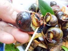 Ốc bươu xào dừa với thịt ốc dai dai, ngấm gia vị cay cay của ớt băm, béo thơm của cùi dừa cùng hướng lá chanh, sả hấp dẫn. Đây là món ăn chơi nóng hổi hứa hẹn ăn vào là ghiền.