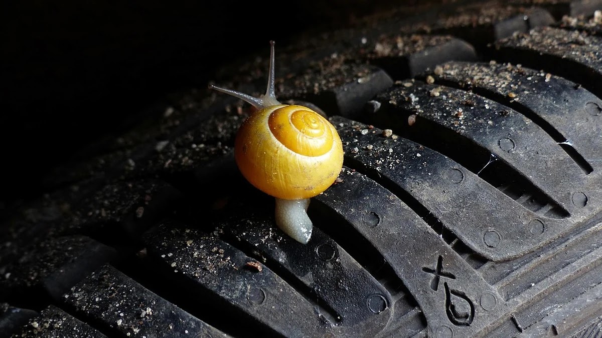 VOO와 QQQ 구성 종목별 리스크 프로필 비교하기