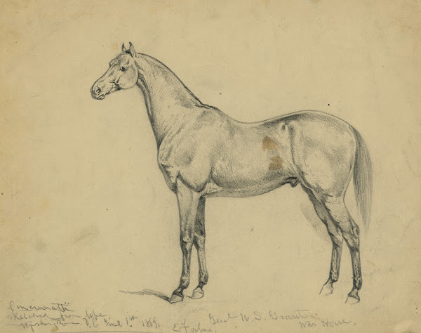 General US Grants war horse 1869