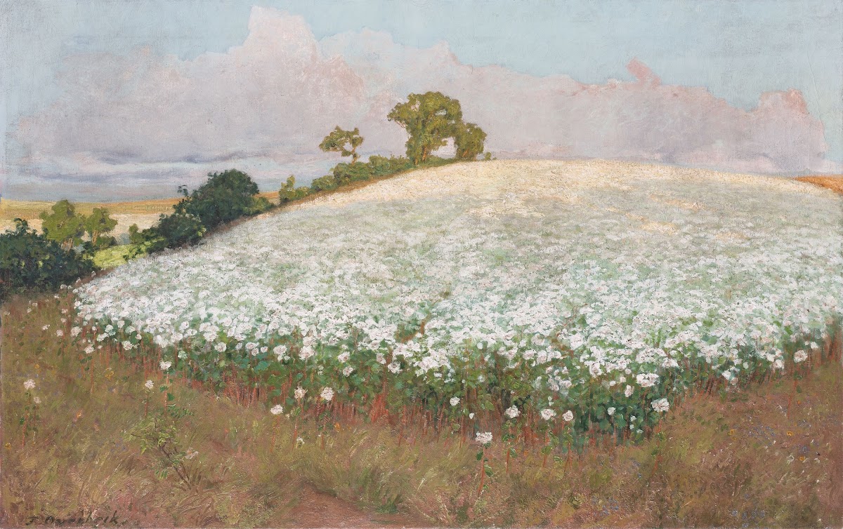 Buchweizenfeld I 1897