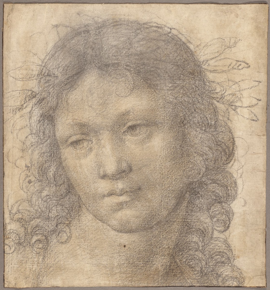 The Head of a Young Boy Crowned with Laurel 15001505