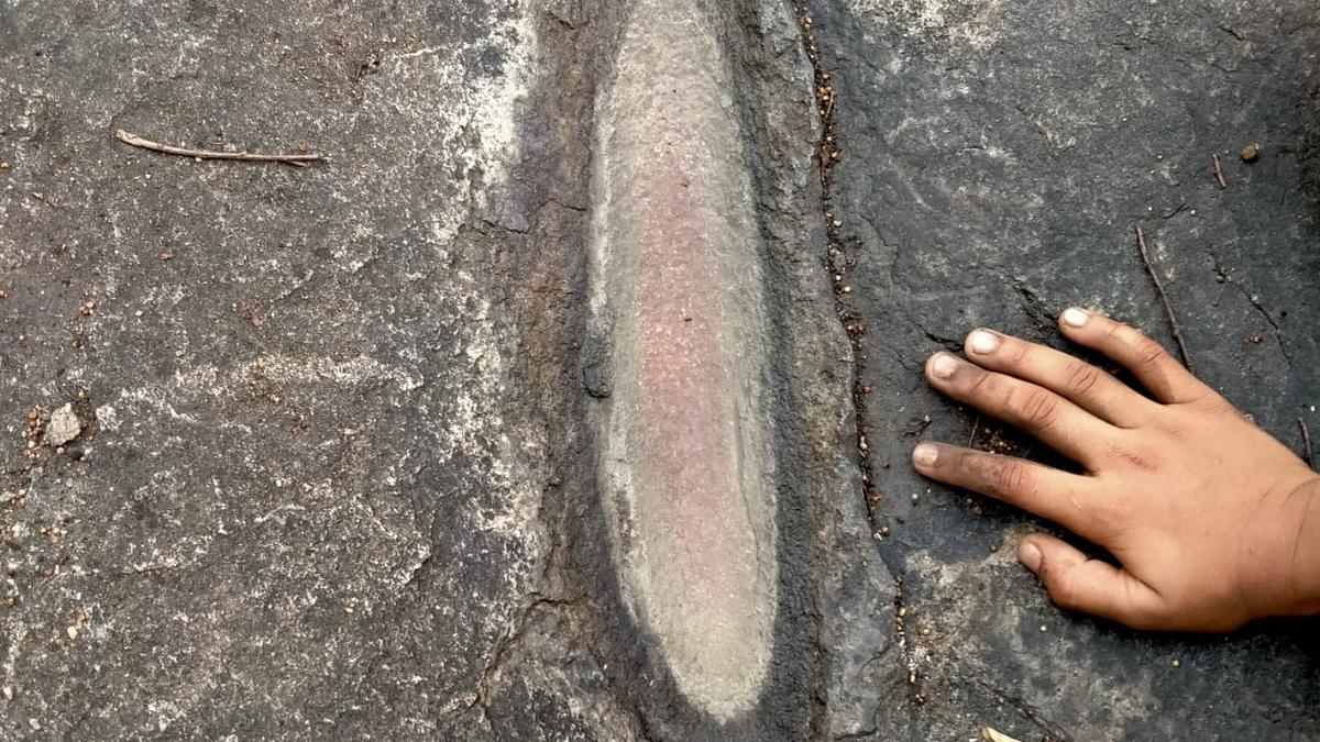 Prehistoric Grooves Found at Mrugavani National Park