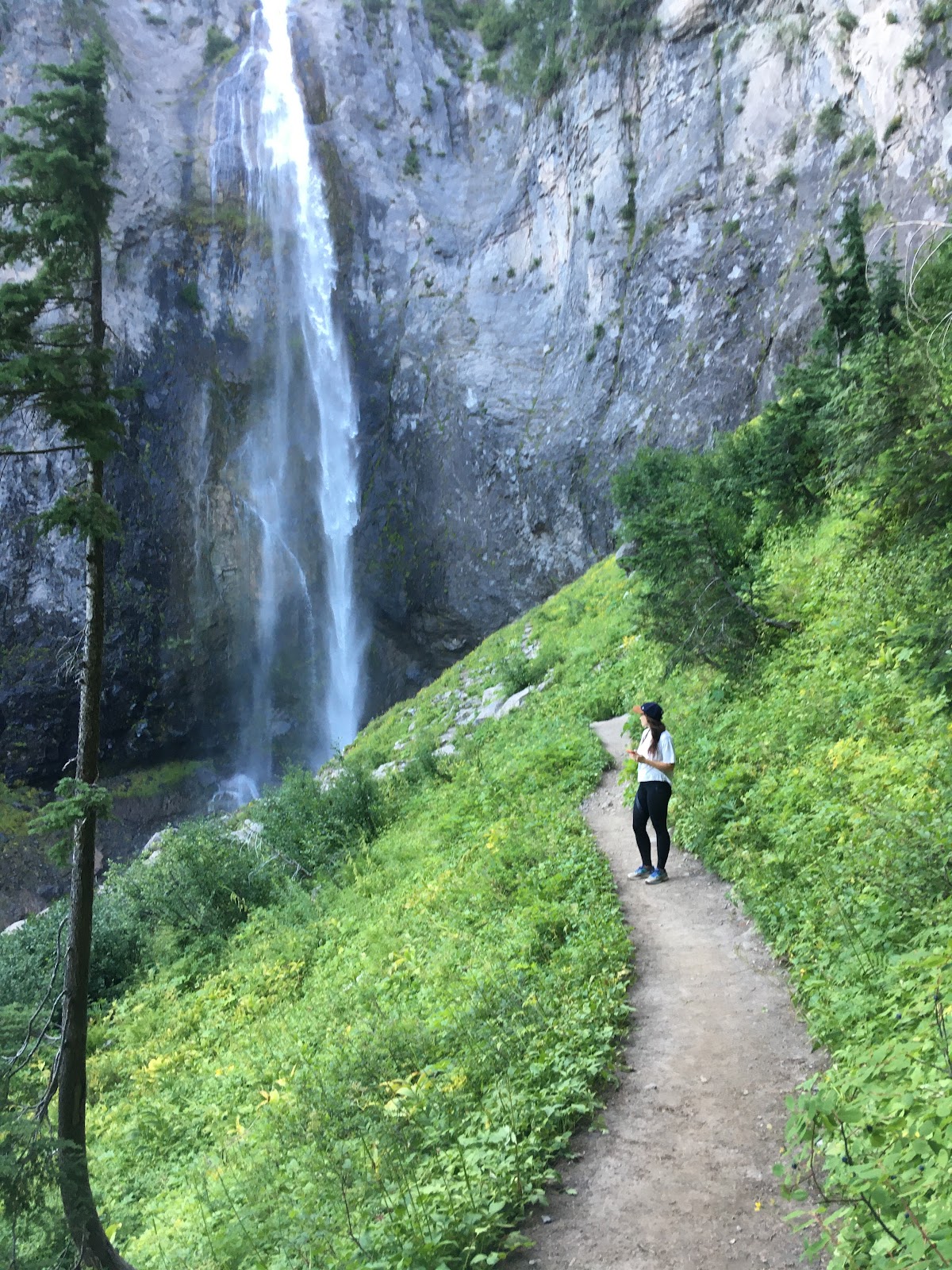 Ash scattering documentation — National Park