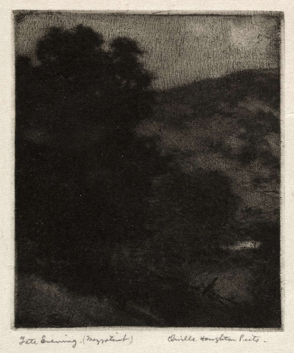 Late Evening