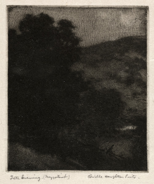 Late Evening