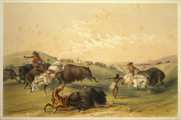 Buffalo Hunt A Numerous Group 1844
