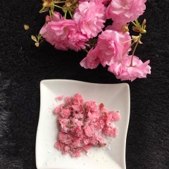 Hoa anh đào là tượng trưng cho xứ sở Nhật Bản. Vẻ đẹp của hoa là suối nguồn cảm hứng cho nhiều thi sĩ Nhật. Đặc biệt hoa anh đào muối có thể ví như nàng thơ của ẩm thực mùa xuân. Thường được chế biến trong các món ăn tráng miệng như flan, mochi, ...