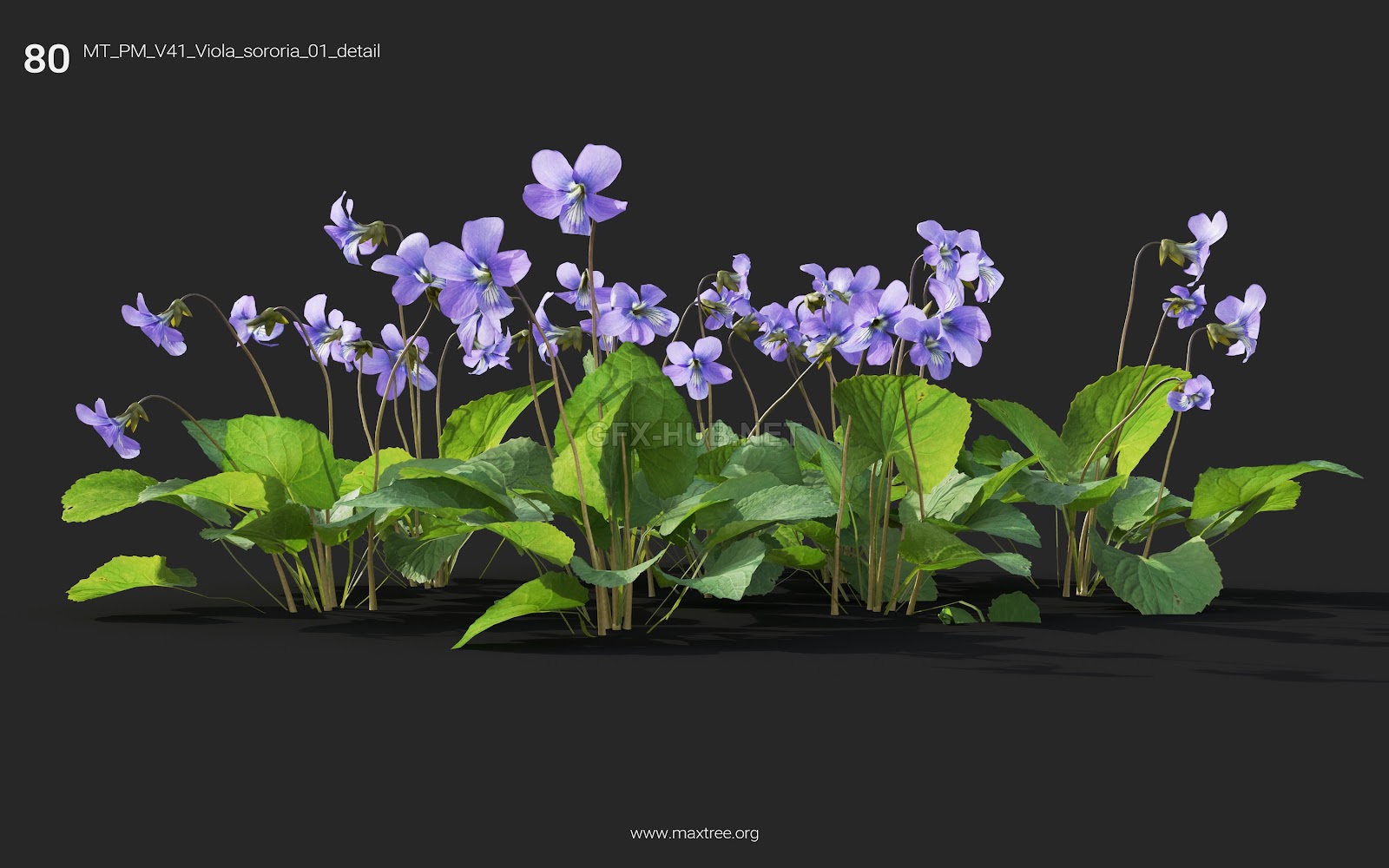 Maxtree - Plant Models Vol.41