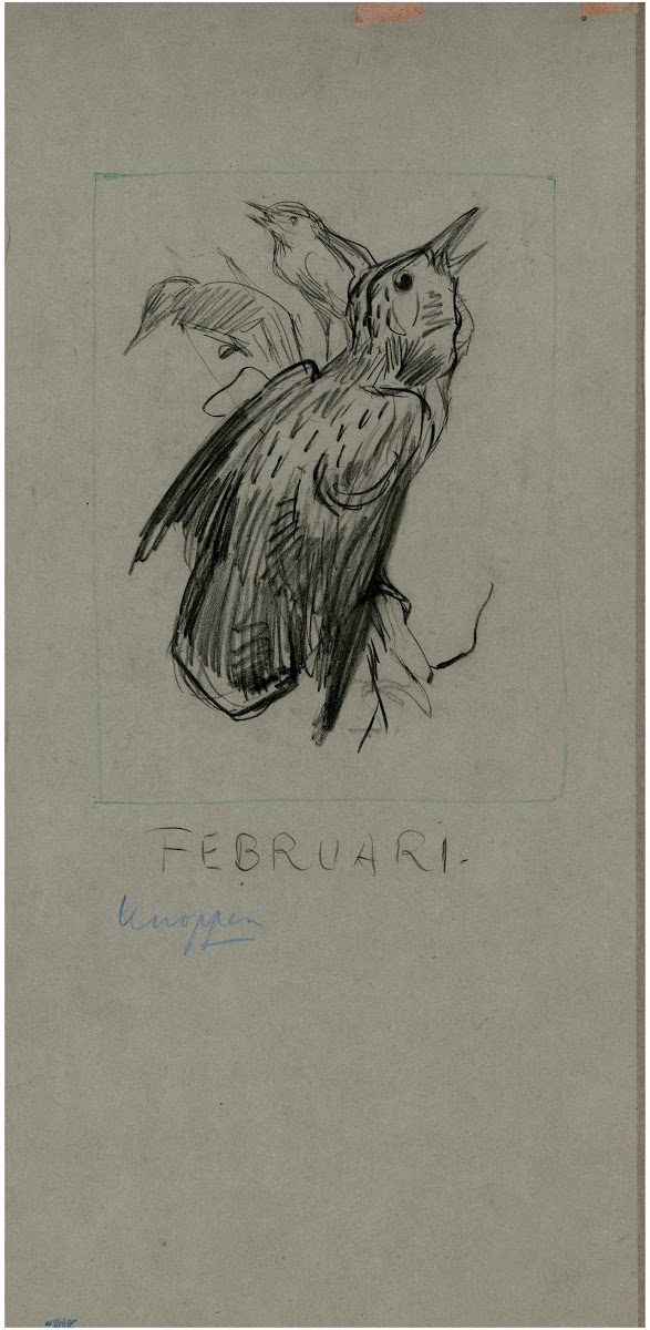 Spreeuw februari 1902