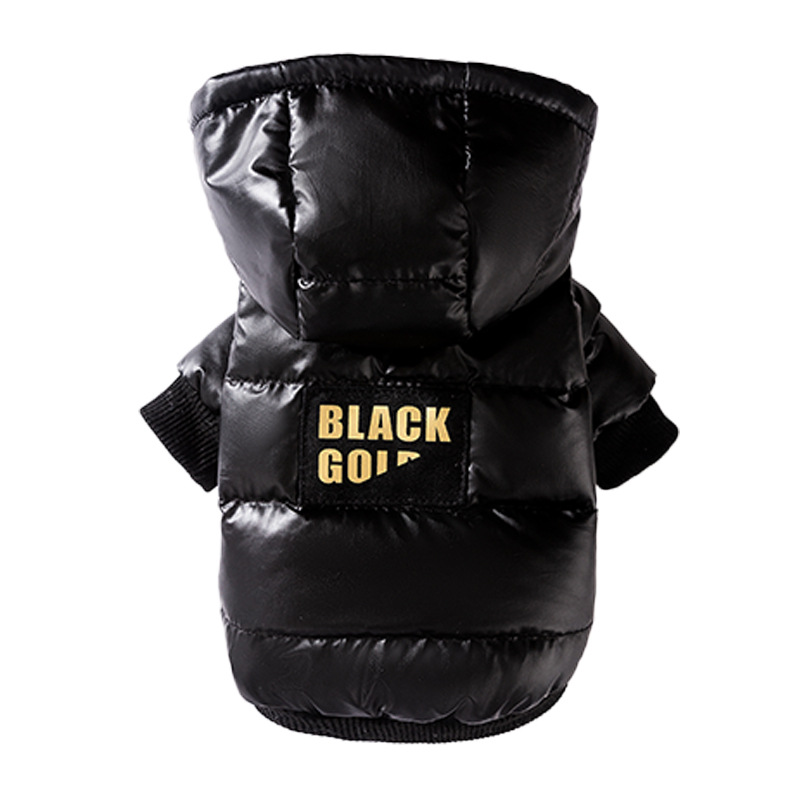 Cat jacket with leash for walking