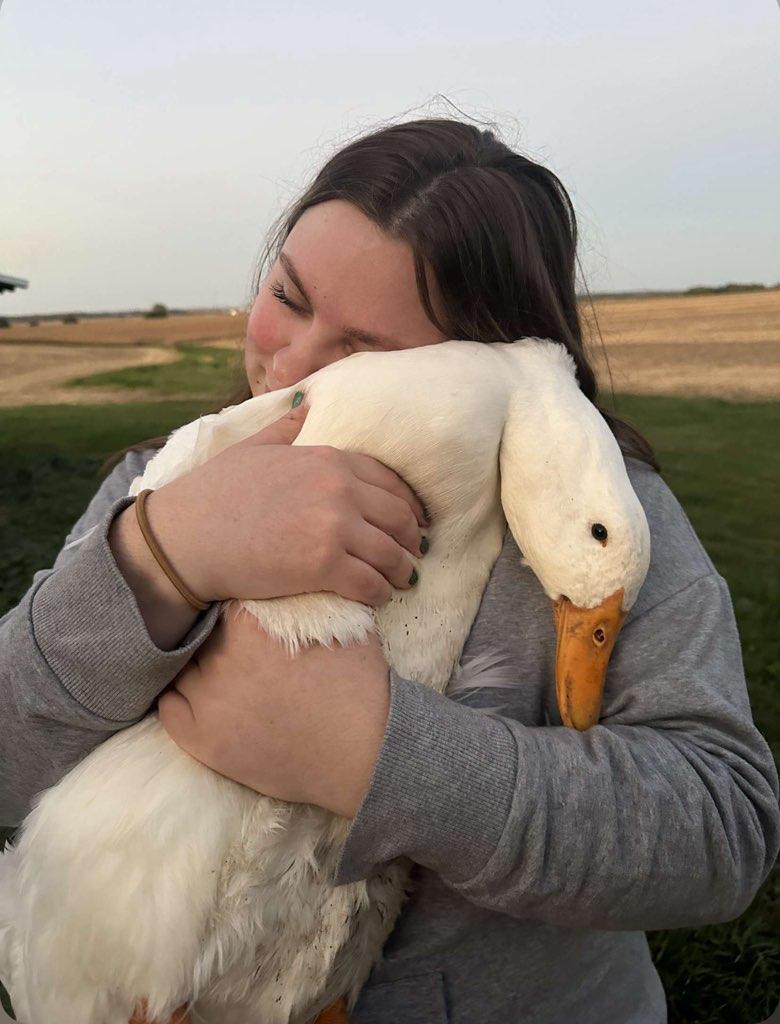 Jumbo Pekin Duckling