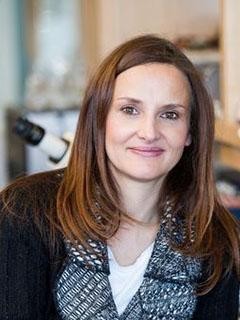 Perturbed neuroepithelial crosstalk as underlying cause of Taxol-induced neurotoxicity