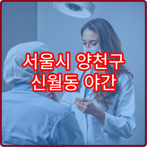 서울시 양천구 신월동 야간 진료 가능한 피부과 가려움 발진 대응 안내