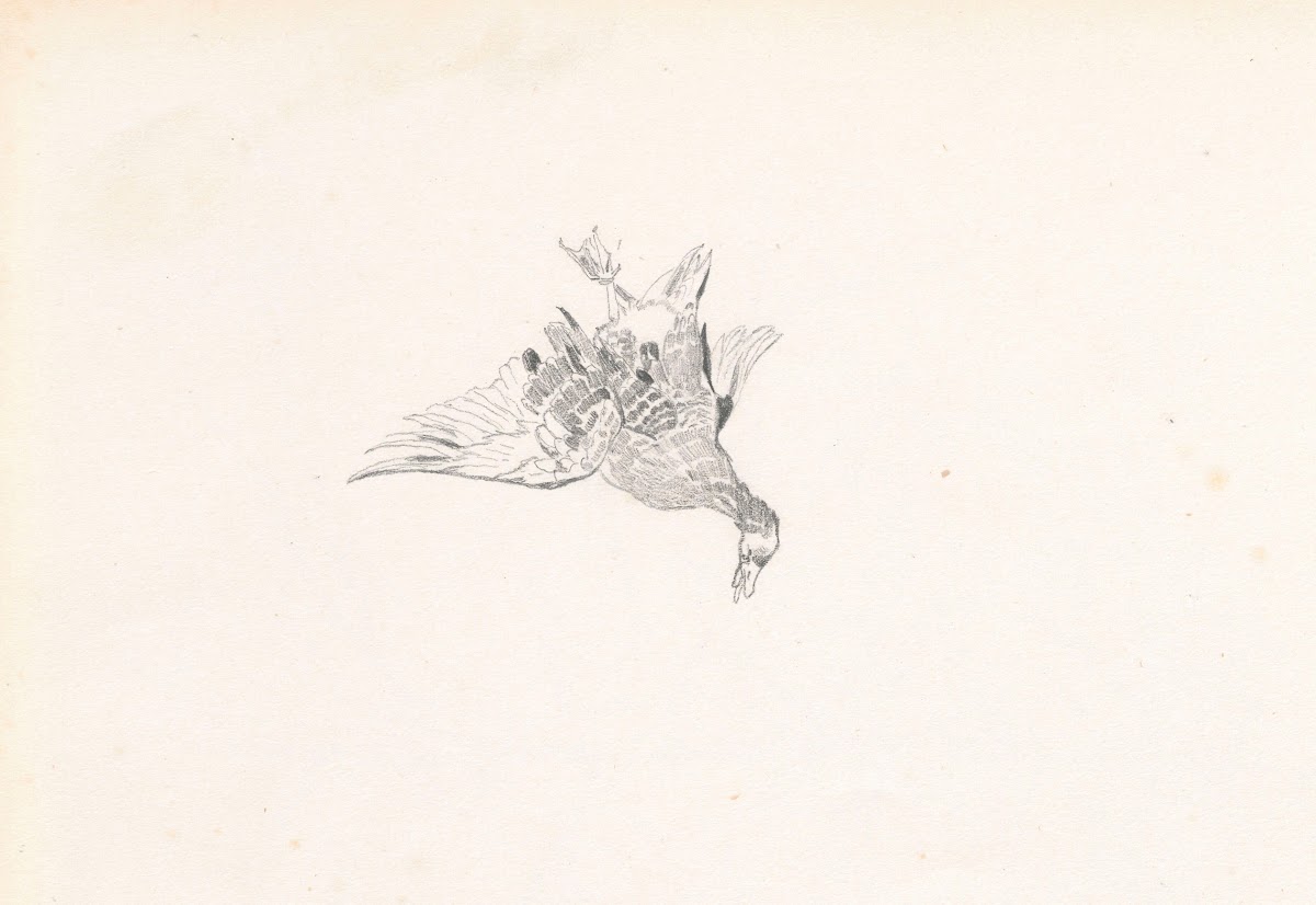 A caught duck 1881