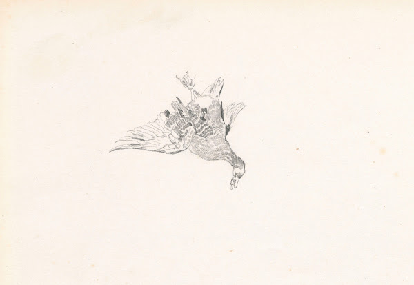 A caught duck 1881
