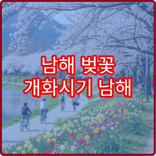 남해 벚꽃 개화시기 남해 벚꽃 명소 개화 정보