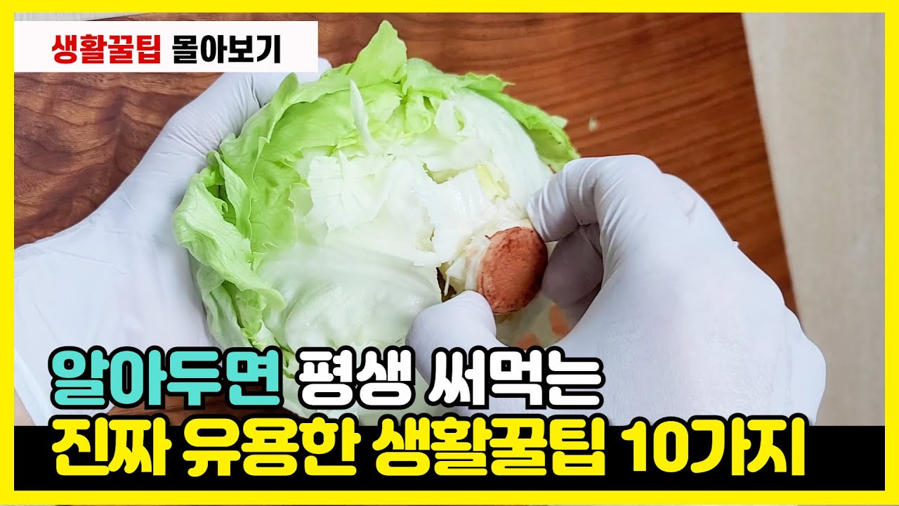 섹션 3 이미지